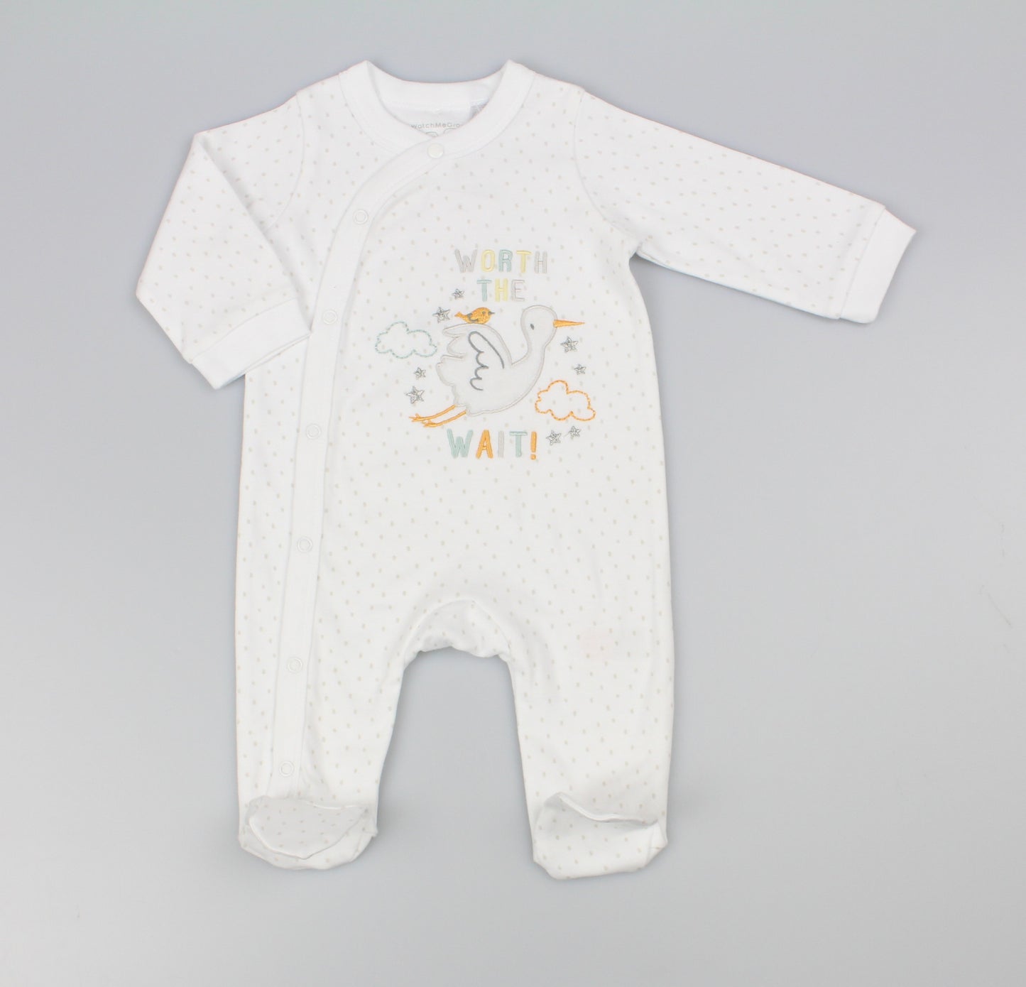 Baby All in One -Worth the Wait  (NB-3m) (PK6)  M15931
