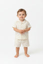 Baby Boys 2pc Shorts Set - Stone/Palm Tree(1-2Years) (PK6) M34316
