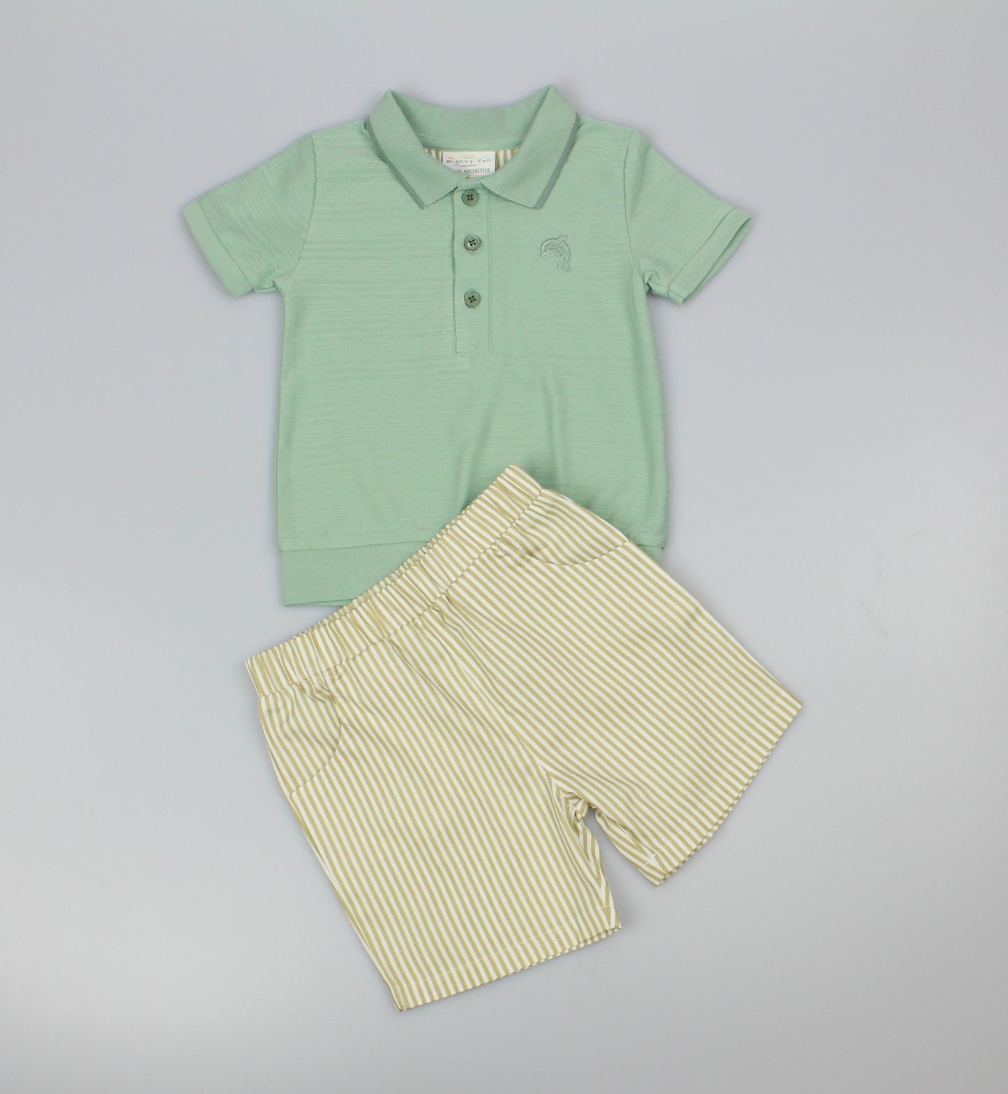 Baby Boys 2pc Shorts Set - Sage Polo (1-2Years) (PK6) M34318