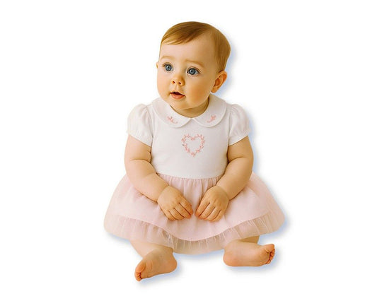 Baby Girls Dress Romper with Floral Embroidery and Lace (NB-9m) (PK6) - BIS-2120-6391